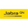 5393-823-309 Jabra Evolve 30 II MS Mono